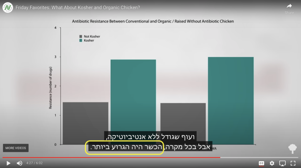זיהום אנטיביוטיקה עוף אורגני כשר