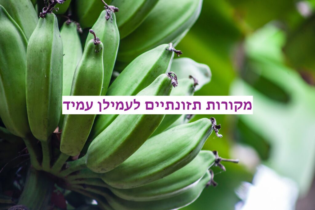 בננות ירוקות עשירות בעמילן עמיד