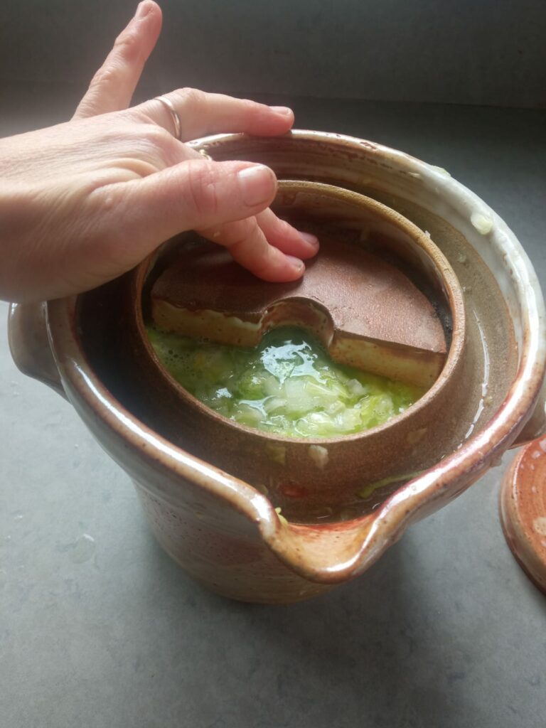 כרוב כבוש בכד חרס 