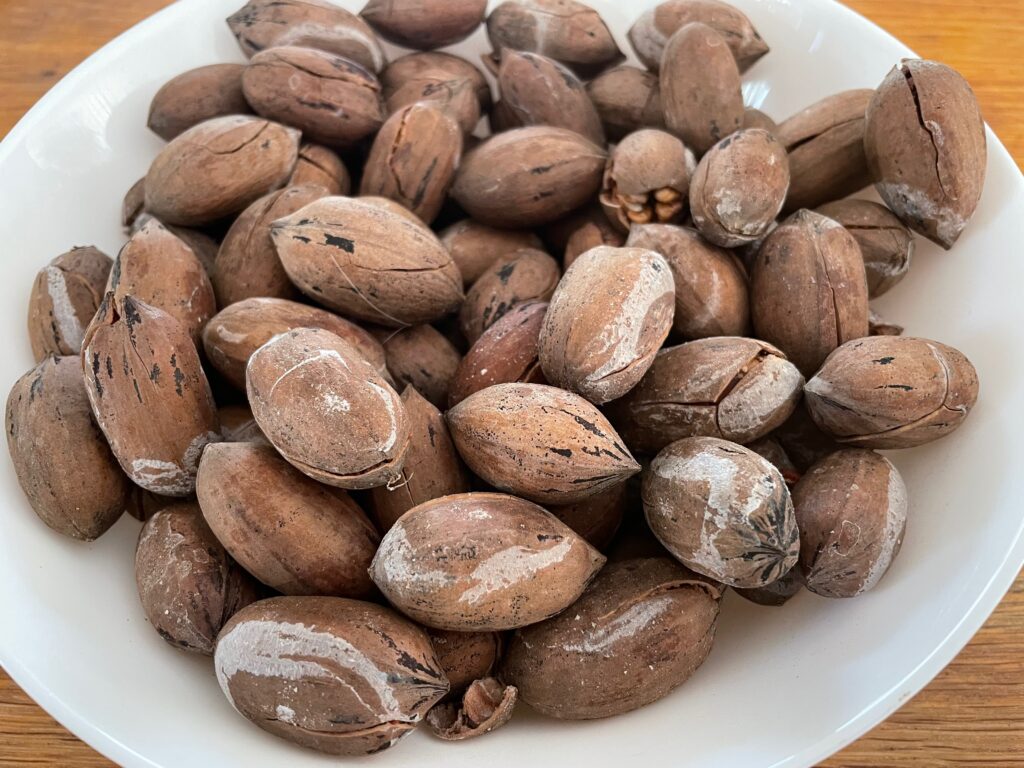 פקאנים ממולחים בצלחת