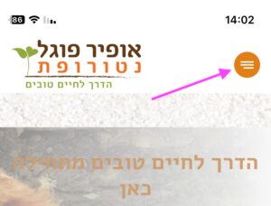 תמונת מסך סלולר