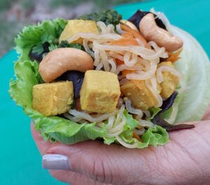 חסה אייסברג ממולאת עם ירקות וטופו חומוס