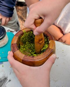 פסטו פרחי חרדל להכנה עם מכתש ועלי